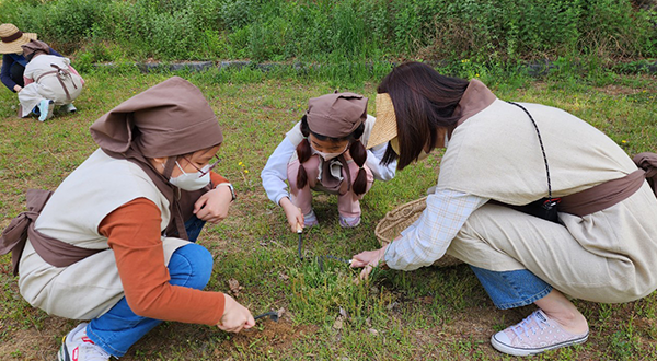 무양에서 만난 어의 - 思全약방문